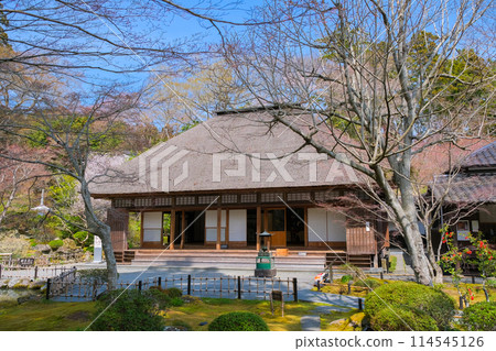 宮城縣松島町圓通院本堂(大石亭) 宮城縣松島町圓通院本堂(大石亭) 114545126