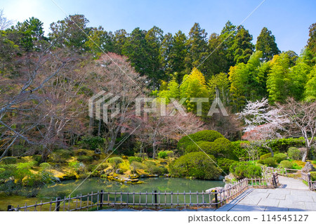 Enshu Garden at Entsuin Temple, Matsushima Town, Miyagi Prefecture 114545127