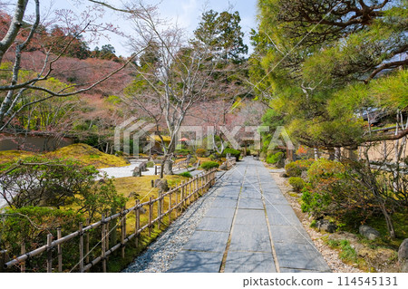 宮城縣松島町圓通院參道 114545131