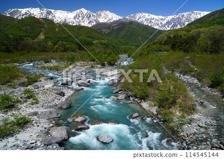 Fresh greenery seen from Hakuba Ohashi Bridge 114545144
