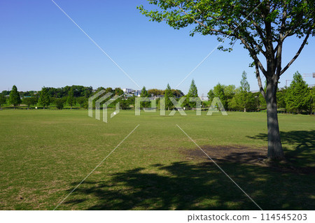 Shin-Yokohama Park Grassland Square Shin-Yokohama Park Grassland Square 114545203
