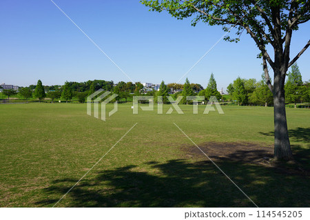 Shin-Yokohama Park Grassland Square Shin-Yokohama Park Grassland Square 114545205