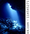 Fantastic light pouring into a sea cave 114545271