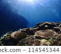 Sunlight shining down on underwater coral fields 114545344