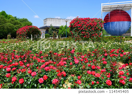 韓國著名的玫瑰花勝地/奧林匹克公園[首爾松坡區] 114545405