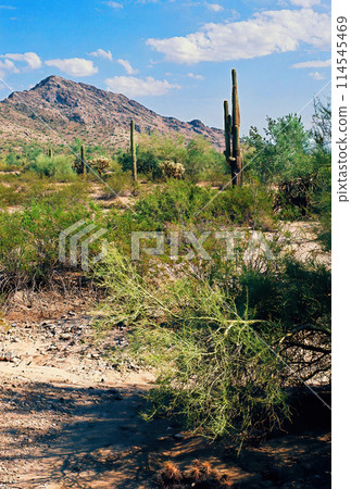 San Tan Mountains Sonora Desert Arizona On Film 114545469