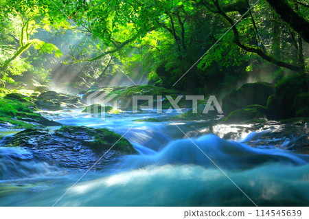 Kikuchi Valley with beautiful rays of light (Kikuchi City) Kikuchi Valley with beautiful rays of light (Kikuchi City) 114545639