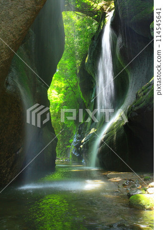 Summer Yufugawa Valley (Yufu City, vertical composition) 114545641