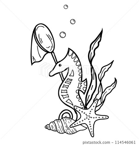 Marine Composition of cute Seahorse, Seaweeds, Starfish, Seashells and Fishing Net. Hand drawn Vector isolated illustration. Graphic summer Sea Sketch. Marine Composition of cute Seahorse, Seaweeds, Starfish, Seashells and Fishing Net. Hand drawn Vector isolated illustration. Graphic summer Sea Sketch. 114546061