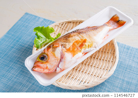 Rockfish in a tray Rockfish in a tray 114546727