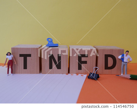 TNFD 特色影像 TNFD 特色影像 114546750