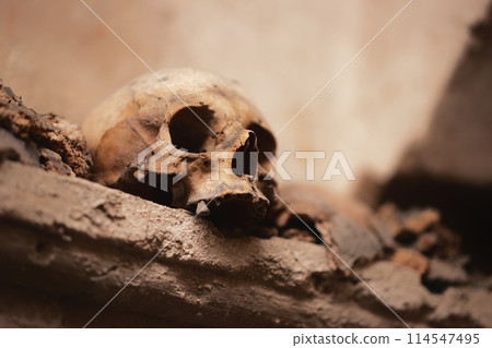 Ancient skull uncovered in catacomb depths 114547495