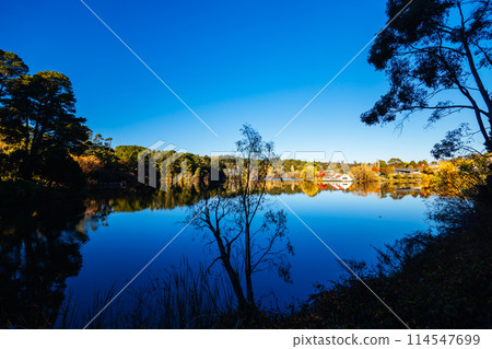 Lake Daylesford in Victoria Australia 114547699