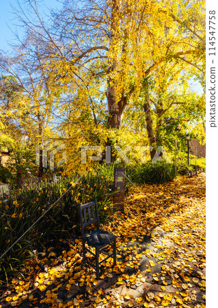 Hepburn Springs in Victoria Australia 114547758