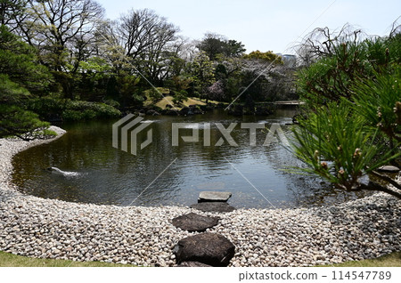 Suhama Beach (Momijiyama Garden), a reproduction of Miho no Matsubara 114547789
