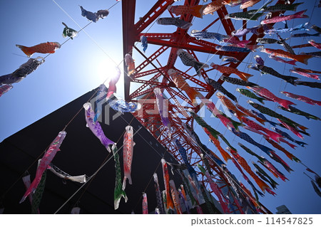 Tokyo Tower and carp streamers, Minato Ward, Tokyo Tokyo Tower and carp streamers, Minato Ward, Tokyo 114547825