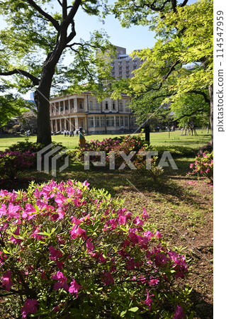 Former Iwasaki Residence Garden: Fresh green lawns and plantings, Taito Ward, Tokyo Former Iwasaki Residence Garden: Fresh green lawns and plantings, Taito Ward, Tokyo 114547959