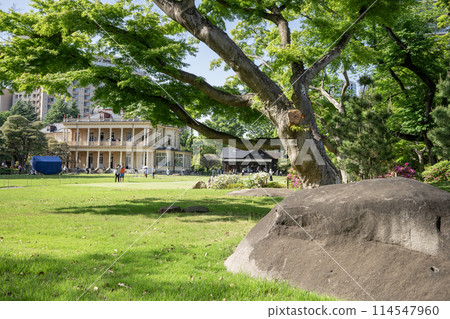 Former Iwasaki Residence Garden: A refreshing lawn with fresh greenery, Taito Ward, Tokyo Former Iwasaki Residence Garden: A refreshing lawn with fresh greenery, Taito Ward, Tokyo 114547960