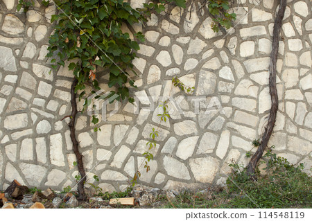 Stone texture on a wall in Montenegro. An ancient gray stone wall with curly plants and grass with firewood on it. Background. Template. For design. Vertical. Stone texture on a wall in Montenegro. An ancient gray stone wall with curly plants and grass with firewood on it. Background. Template. For design. Vertical. 114548119