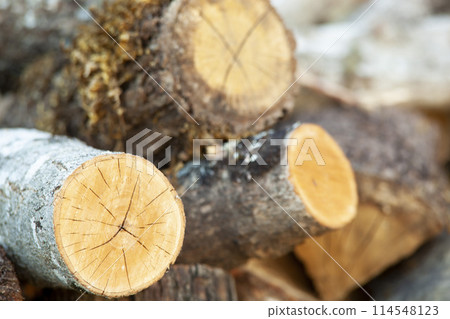 Natural wooden background - close-up of chopped firewood. A pile of firewood stacked and prepared for winter. Horizontal. Background Natural wooden background - close-up of chopped firewood. A pile of firewood stacked and prepared for winter. Horizontal. Background 114548123