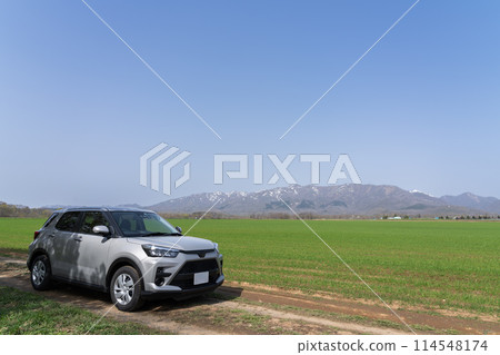 Spring at Asahigaoka Park in Furano 114548174