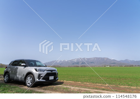 富良野旭丘公園的春天 富良野旭丘公園的春天 114548176