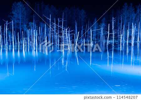 Early spring illumination of the Blue Pond Early spring illumination of the Blue Pond 114548207