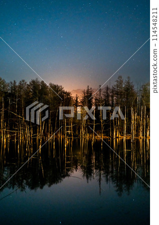Midnight Blue Pond and Stars 114548211