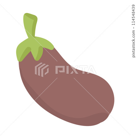 Eggplant in flat design. Natural fresh aubergine, healthy organic vegetable. Vector illustration isolated. Eggplant in flat design. Natural fresh aubergine, healthy organic vegetable. Vector illustration isolated. 114548439