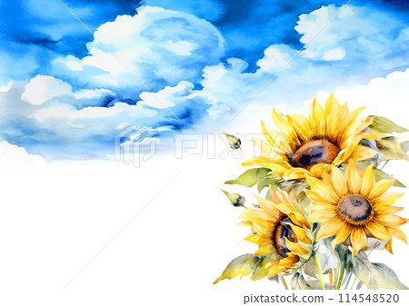 Watercolor summer sunflowers and cumulonimbus clouds 114548520