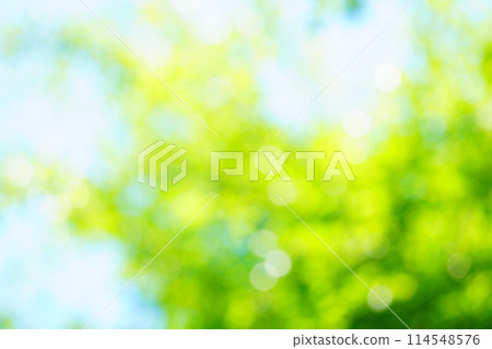 A photo of a green background with overlapping blurry lights A photo of a green background with overlapping blurry lights 114548576