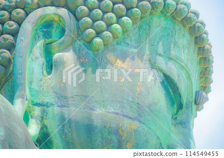 Image of Kamakura Great Buddha Hall Kotoku-in Image of Kamakura Great Buddha Hall Kotoku-in 114549455