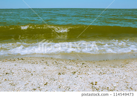 Sea wave on a sandy beach 114549473