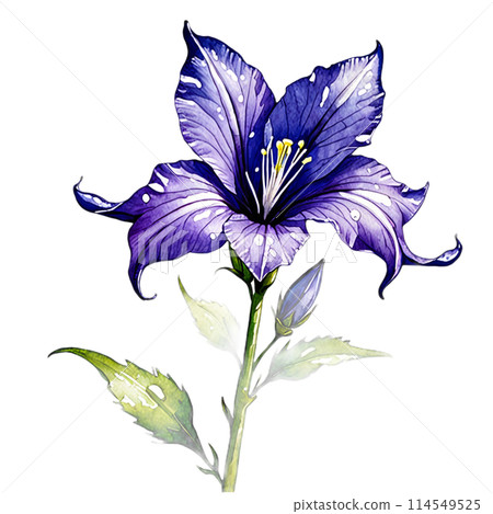 由翻譯提供支持 114549525