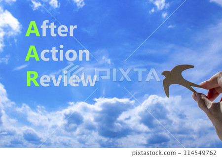 AAR After action review symbol. Concept words AAR After action review on beautiful blue sky clouds background. Wooden bird. Businessman hand. Business AAR after action review concept. Copy space. AAR After action review symbol. Concept words AAR After action review on beautiful blue sky clouds background. Wooden bird. Businessman hand. Business AAR after action review concept. Copy space. 114549762