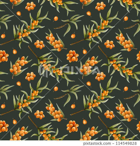 Watercolor sea buckthorn watercolor seamless pattern with branches and berries on dark dusty green. Botanical background for autumn in warm orange and green color for cosmetics or herbal products 114549828