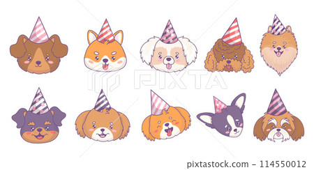 Cute portraits dogs in birthday caps of different breeds set. Funny muzzle of chihuachua, mongrel, spitz, rottweiler, poodle, Shiba Inu, Shih Tzu. Isolated cartoon kawaii animal. Vector illustration Cute portraits dogs in birthday caps of different breeds set. Funny muzzle of chihuachua, mongrel, spitz, rottweiler, poodle, Shiba Inu, Shih Tzu. Isolated cartoon kawaii animal. Vector illustration 114550012