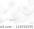 Abstract artwork geometric of circle pattern design decoration template decoration background. 114550295
