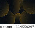 Abstract luxurious pattern of rounded circles template design decoration artwork. 114550297