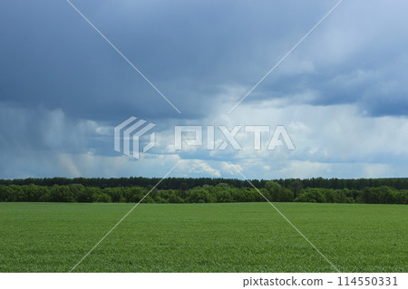 Rural landscape Rural landscape 114550331