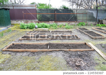 Garden beds fenced with boards for filling with fertile soil and fertilizers, for planting seedlings of vegetables and leafy greens. 114550387