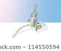 Small balls, tulips and sweet peas 114550594