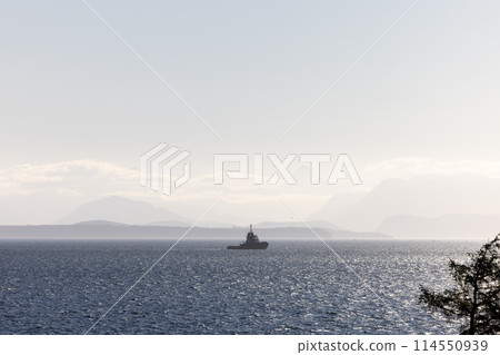 Sunlit fishing boat in foggy seascape 114550939