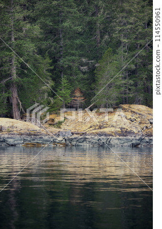Autumn tree reflection in calm sea 114550961