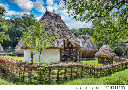 Amazing summer scene of traditional romanian peasant houses. 114551263