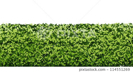 Green hedge of boxwood bushes in the form of a seamless endless pattern 114551269