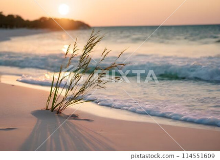Rosy Horizons: Sunset Splendor by the Seashore 114551609