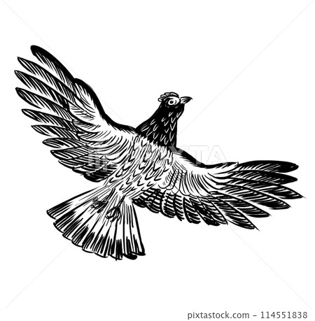 Flying grouse bird. Hand drawn black and white illustration Flying grouse bird. Hand drawn black and white illustration 114551838