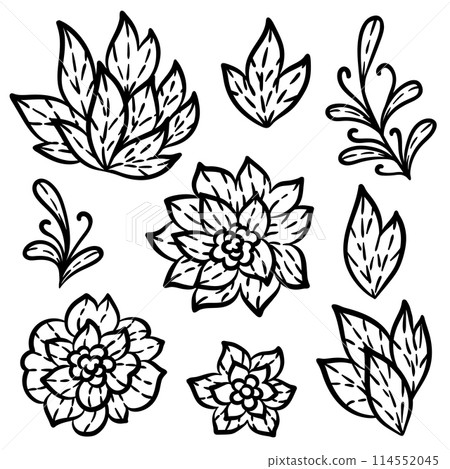 Lace set of flowers and leaves. Embroidery handmade decoration. 114552045