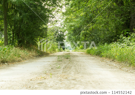 Dirt road with through the trees Dirt road with through the trees 114552142